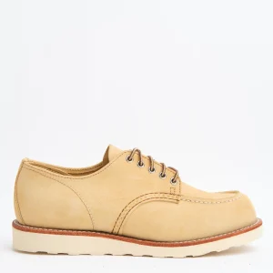 8079 Shop Moc Oxford Hawthorne