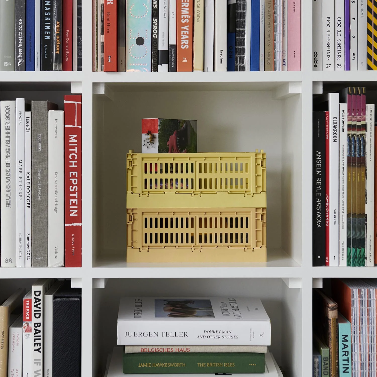 Cagette S powder – Image 4