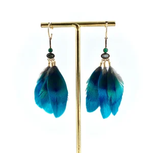 Boucles d'Oreilles JUNGLE Paon Bleu